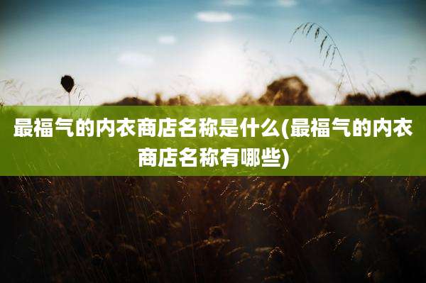 最福气的内衣商店名称是什么(最福气的内衣商店名称有哪些)