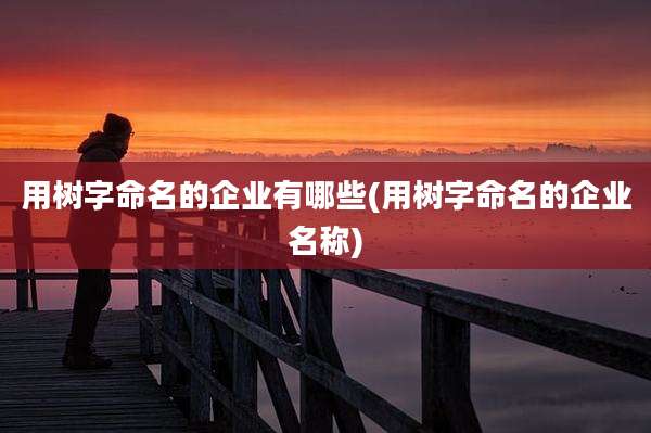 用树字命名的企业有哪些(用树字命名的企业名称)