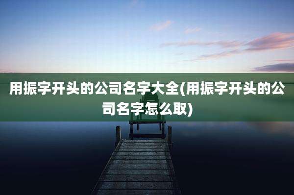 用振字开头的公司名字大全(用振字开头的公司名字怎么取)