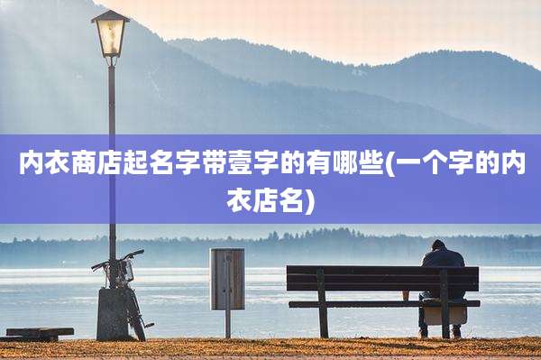 内衣商店起名字带壹字的有哪些(一个字的内衣店名)