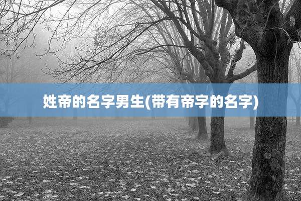 姓帝的名字男生(带有帝字的名字)