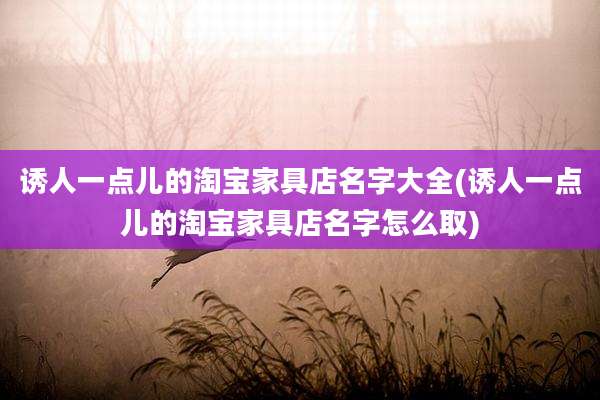 诱人一点儿的淘宝家具店名字大全(诱人一点儿的淘宝家具店名字怎么取)