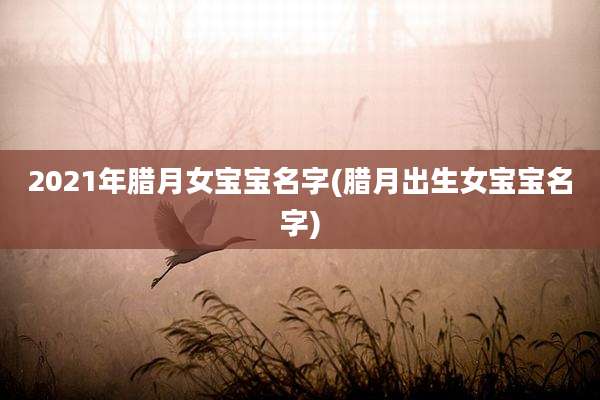 2021年腊月女宝宝名字(腊月出生女宝宝名字)