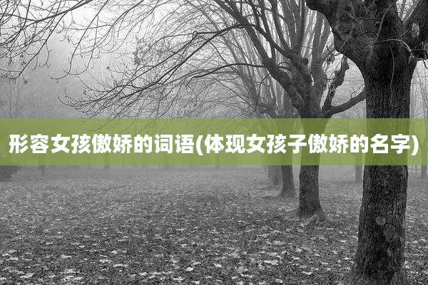 形容女孩傲娇的词语(体现女孩子傲娇的名字)