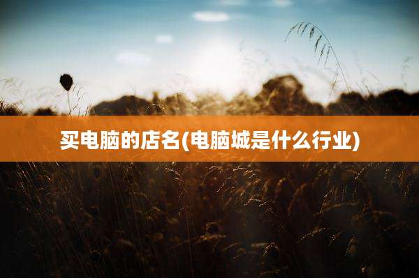 买电脑的店名(电脑城是什么行业)