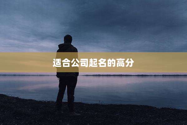 适合公司起名的高分
