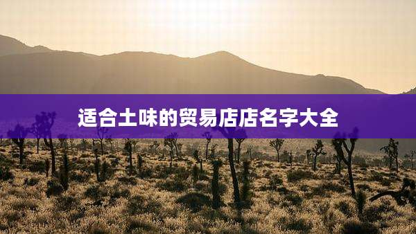 适合土味的贸易店店名字大全