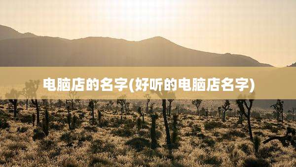 电脑店的名字(好听的电脑店名字)