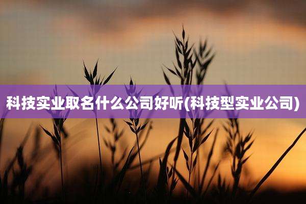 科技实业取名什么公司好听(科技型实业公司)