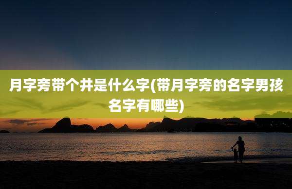 月字旁带个井是什么字(带月字旁的名字男孩名字有哪些)