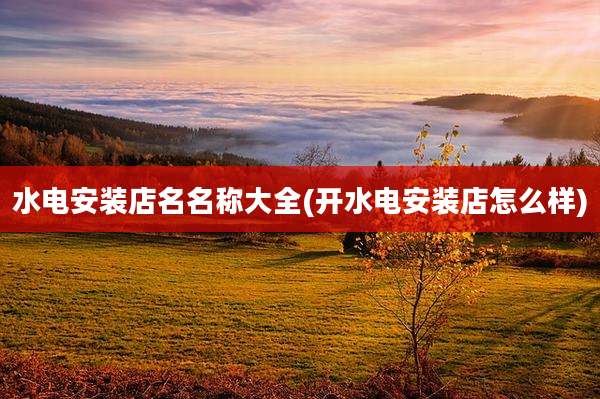 水电安装店名名称大全(开水电安装店怎么样)
