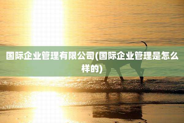 国际企业管理有限公司(国际企业管理是怎么样的)