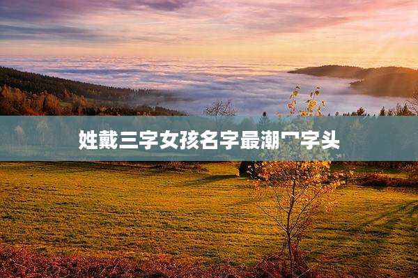 姓戴三字女孩名字最潮冖字头
