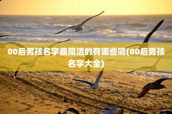 00后男孩名字最简洁的有哪些呢(00后男孩名字大全)