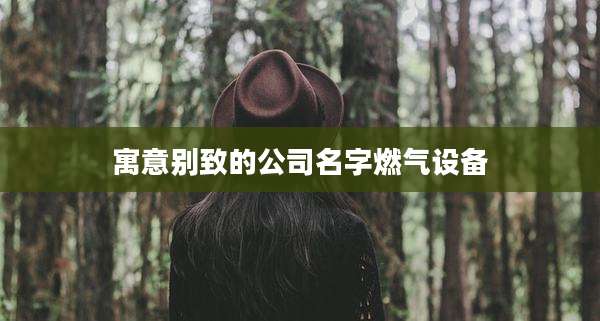 寓意别致的公司名字燃气设备