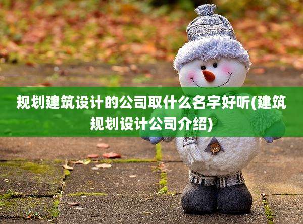 规划建筑设计的公司取什么名字好听(建筑规划设计公司介绍)