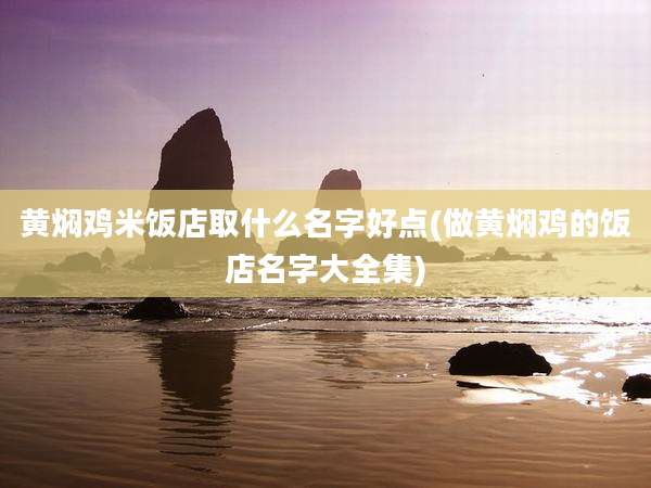 黄焖鸡米饭店取什么名字好点(做黄焖鸡的饭店名字大全集)