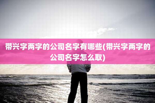 带兴字两字的公司名字有哪些(带兴字两字的公司名字怎么取)