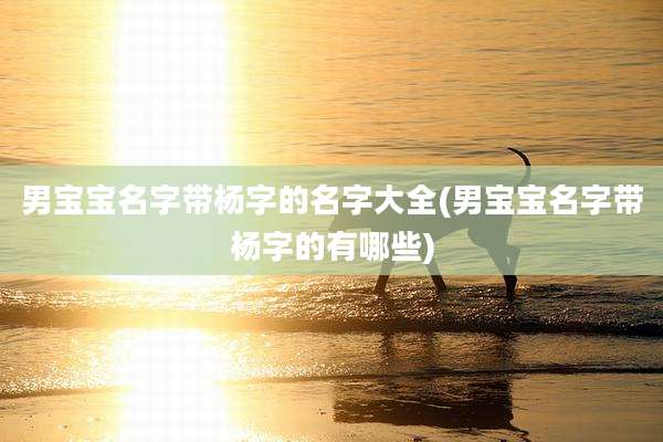 男宝宝名字带杨字的名字大全(男宝宝名字带杨字的有哪些)