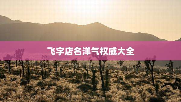 飞字店名洋气权威大全