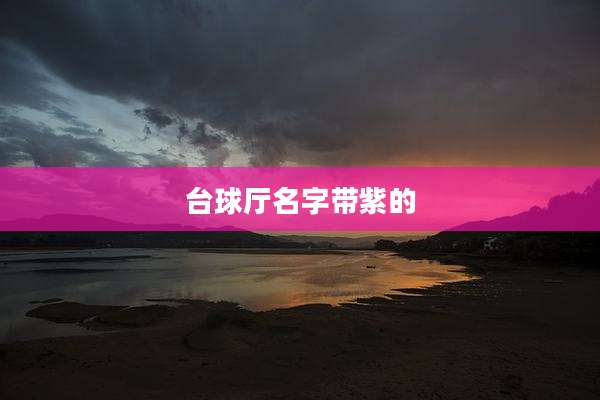 台球厅名字带紫的