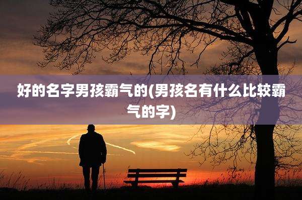 好的名字男孩霸气的(男孩名有什么比较霸气的字)