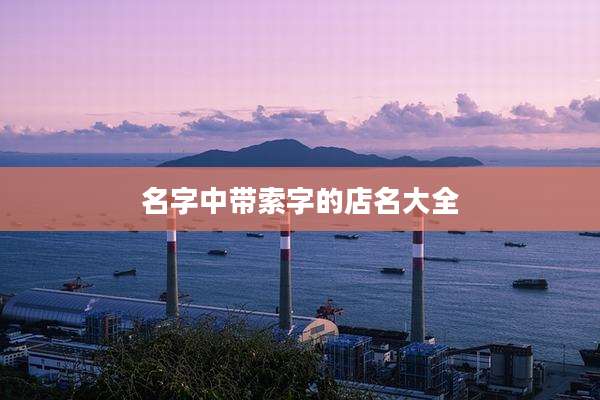名字中带索字的店名大全