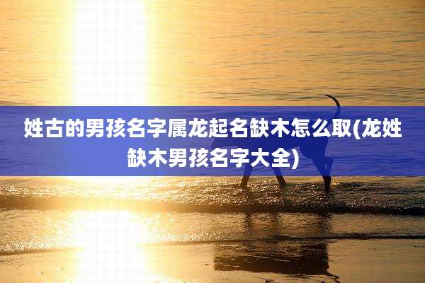 姓古的男孩名字属龙起名缺木怎么取(龙姓缺木男孩名字大全)