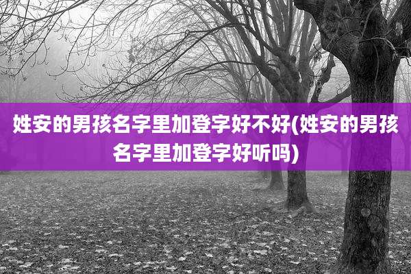 姓安的男孩名字里加登字好不好(姓安的男孩名字里加登字好听吗)