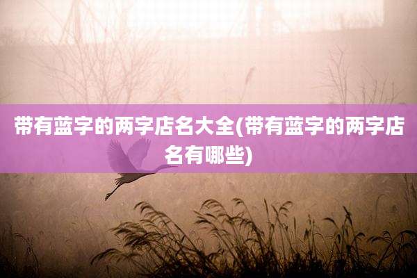 带有蓝字的两字店名大全(带有蓝字的两字店名有哪些)