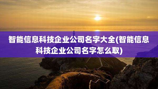 智能信息科技企业公司名字大全(智能信息科技企业公司名字怎么取)