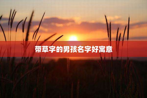 带草字的男孩名字好寓意