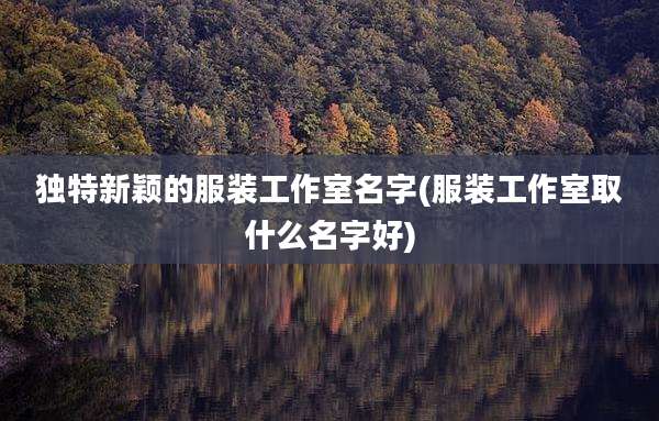 独特新颖的服装工作室名字(服装工作室取什么名字好)