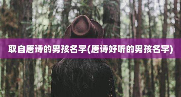 取自唐诗的男孩名字(唐诗好听的男孩名字)
