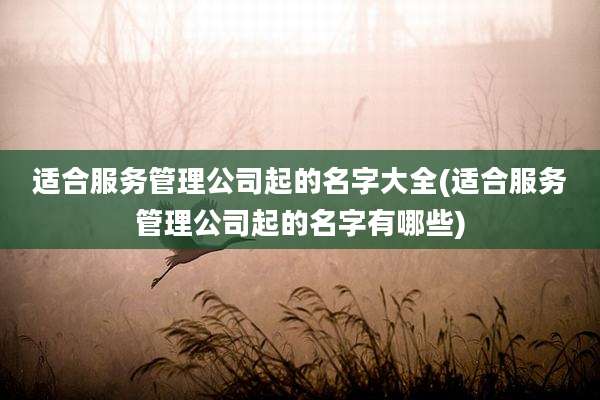 适合服务管理公司起的名字大全(适合服务管理公司起的名字有哪些)