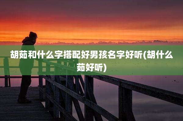 胡茹和什么字搭配好男孩名字好听(胡什么茹好听)