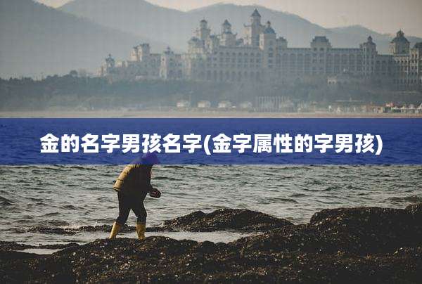 金的名字男孩名字(金字属性的字男孩)