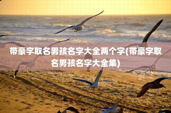 带豪字取名男孩名字大全两个字(带豪字取名男孩名字大全集)
