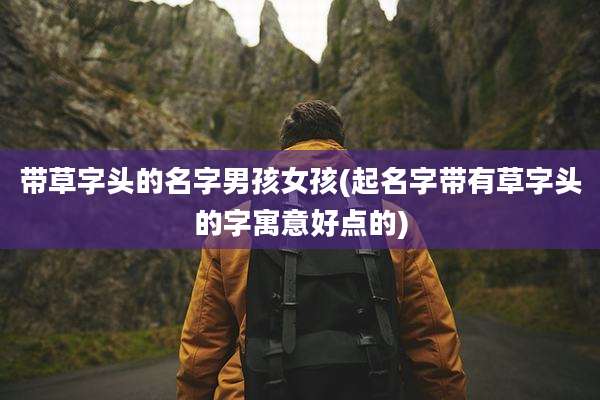 带草字头的名字男孩女孩(起名字带有草字头的字寓意好点的)