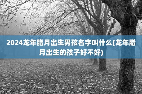 2024龙年腊月出生男孩名字叫什么(龙年腊月出生的孩子好不好)