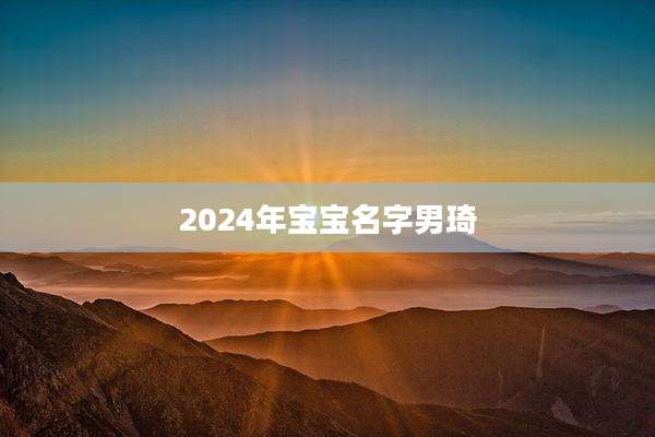 2024年宝宝名字男琦