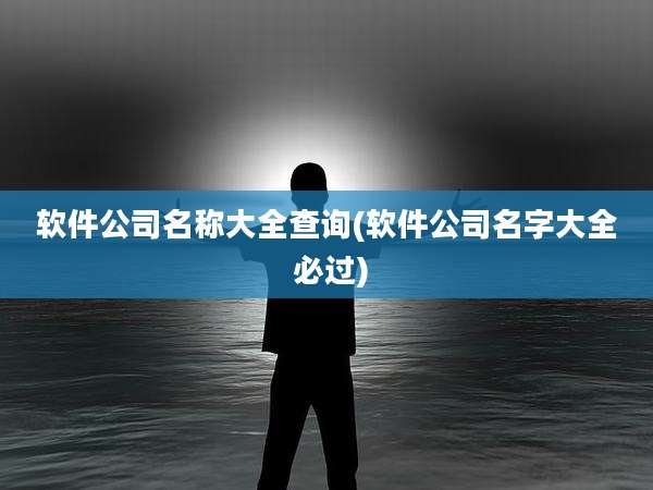 软件公司名称大全查询(软件公司名字大全 必过)