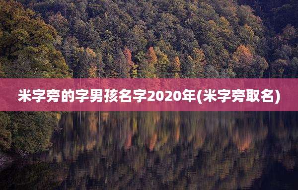 米字旁的字男孩名字2020年(米字旁取名)