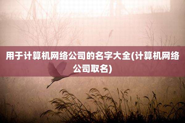 用于计算机网络公司的名字大全(计算机网络公司取名)