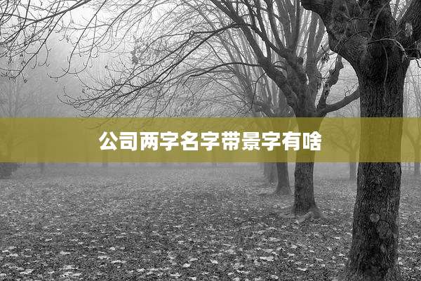 公司两字名字带景字有啥