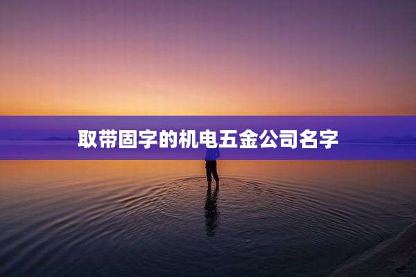 取带固字的机电五金公司名字