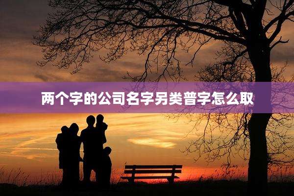 两个字的公司名字另类普字怎么取
