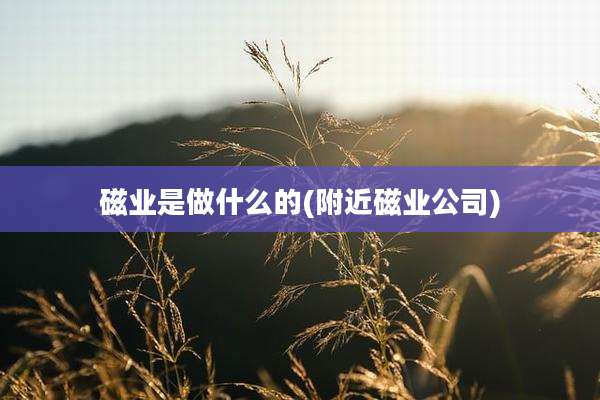 磁业是做什么的(附近磁业公司)