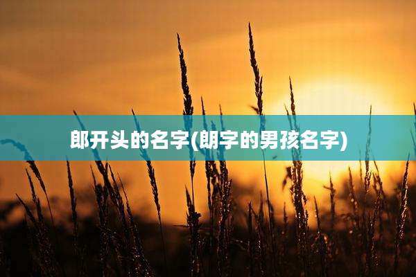 郎开头的名字(朗字的男孩名字)