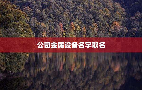 公司金属设备名字取名